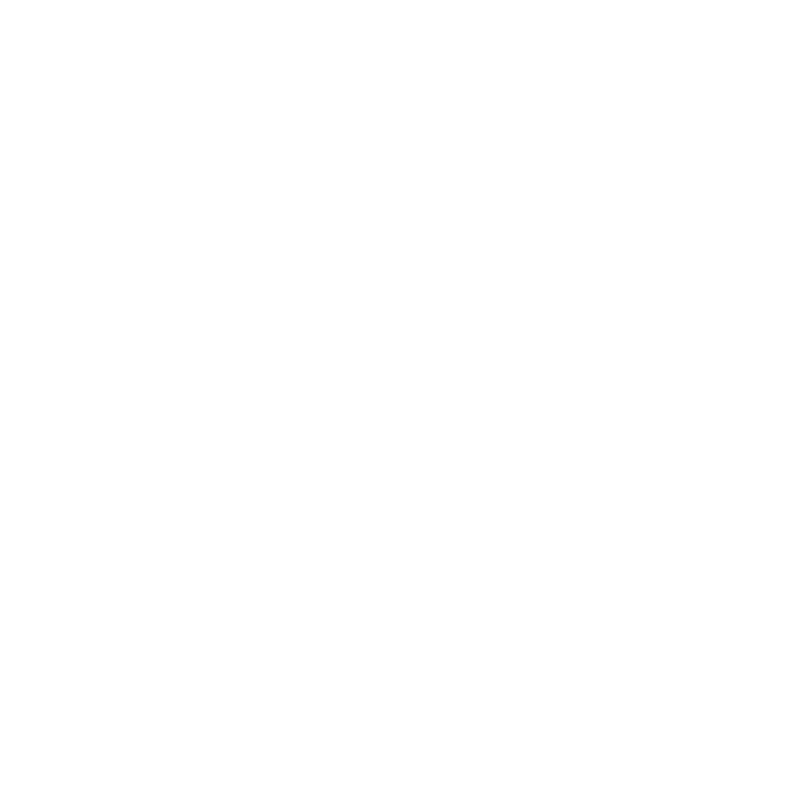 White instagram icon
